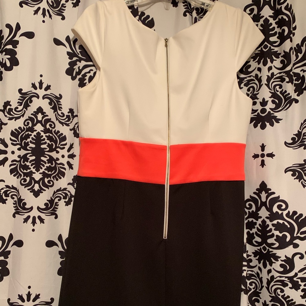 Shift Dress - Picture 2 of 3